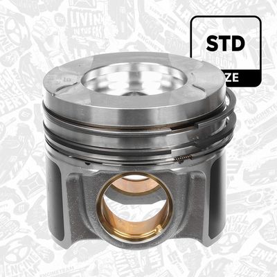 PISTON ET ENGINETEAM PM012000 1