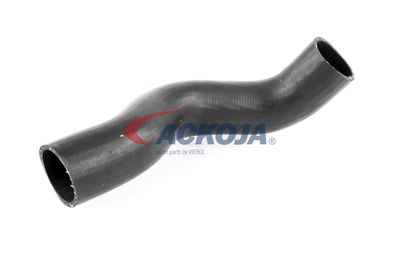 FURTUN EAR SUPRAALIMENTARE ACKOJA A380307 55