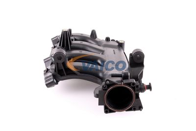 MODUL CONDUCTA ADMISIE VAICO V301074 24