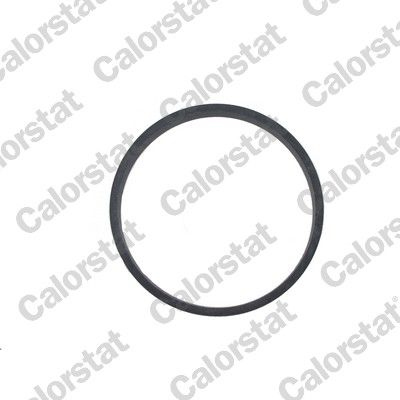 CALORSTAT by Vernet Seal, thermostat J243
