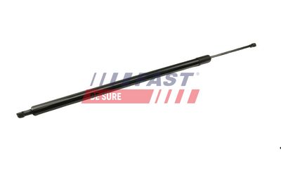 AMORTIZOR PORTBAGAJ FAST FT94802 1