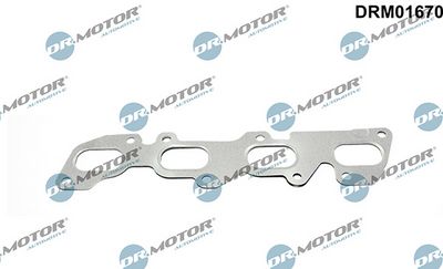 Těsnění, kolektor výfukových plynů LIZARTE DRM01670