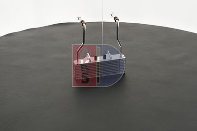 ÖLKüHLER MOTORöL AKS DASIS 066000N 7
