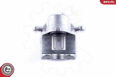 Brake Caliper 50SKV772