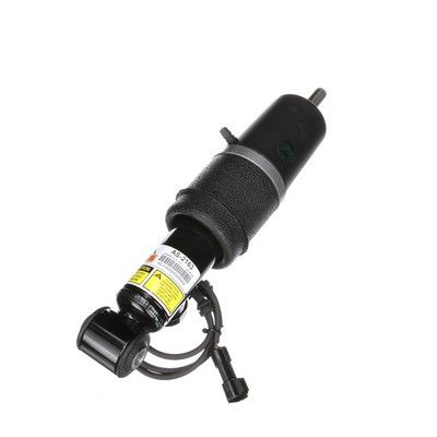 LUFTFEDERBEIN Arnott AS2163 61