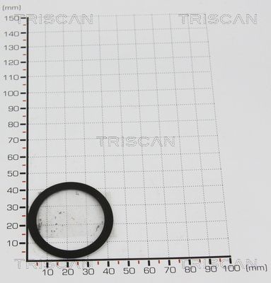 TRISCAN Tarpiklis