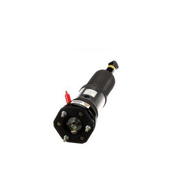 BRAT ARC PNEUMATIC Arnott AS3074 47