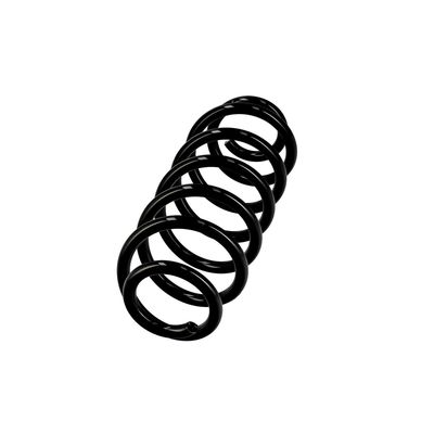 ARC SPIRAL EIBACH R10141 2