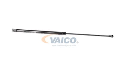 GASFEDER KOFFER-/LADERAUM VAICO V250232 14