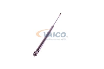 GASFEDER KOFFER-/LADERAUM VAICO V250232 51