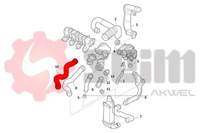 FURTUN EAR SUPRAALIMENTARE SEIM 981899 1