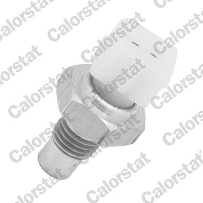 CALORSTAT by Vernet Sensor, Kühlmitteltemperatur