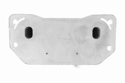 RADIATOR ULEI ULEI MOTOR VEMO V95600024 1