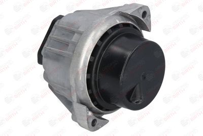 SUPORT MOTOR BIRTH 53350 6