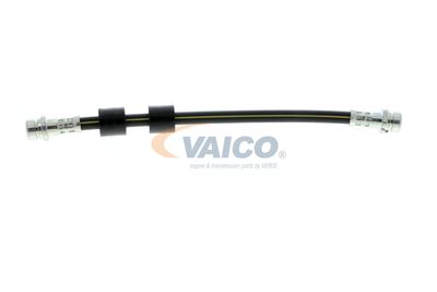 FURTUN FRANA VAICO V251328 58