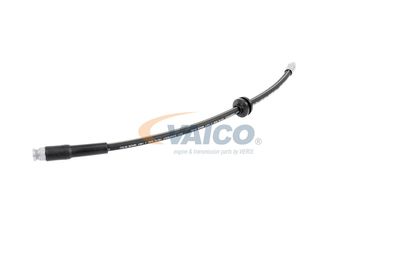 FURTUN FRANA VAICO V220628 21