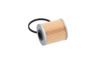 FILTRU COMBUSTIBIL AMC Filter NF2481 17