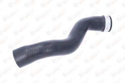FURTUN EAR SUPRAALIMENTARE BIRTH 55714 11