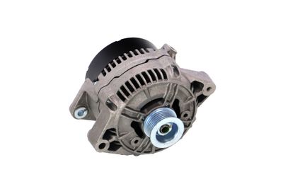 GENERATOR / ALTERNATOR REMANTE 011003000227R 54