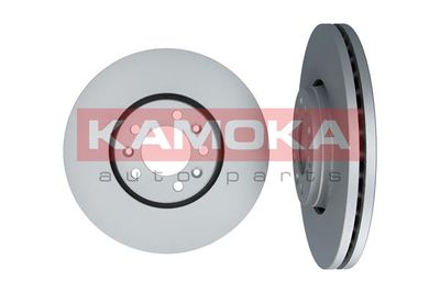 Brake Disc 1031053