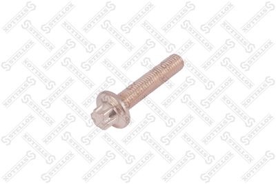 STELLOX 81-08505-SX STELLOX 81-08505-SX
