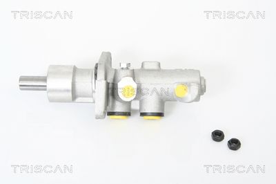 TRISCAN 8130 11123 Ремкомплект тормозного цилиндра  для BMW Z3 (Бмв З3)