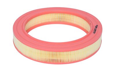 FILTRU AER CONTINENTAL 28000201612 8