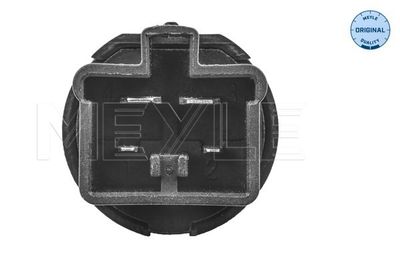 COMUTATOR LUMINI FRANA MEYLE 31148900000 1