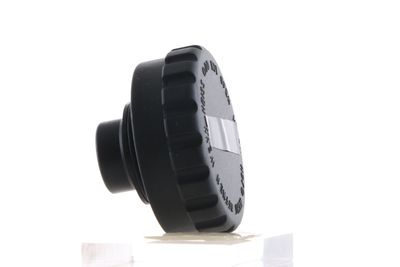 BUSON VAS EXPANSIUNE MAHLE CRB107000S 39