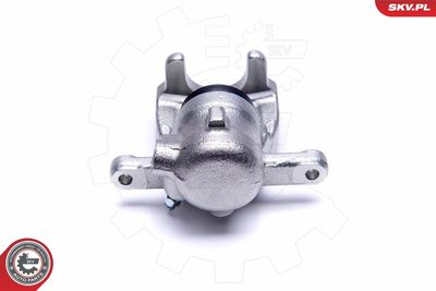 Brake Caliper 55SKV503