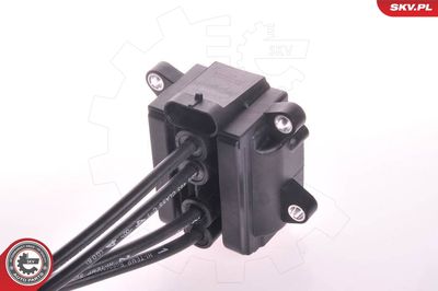 Ignition Coil 03SKV021