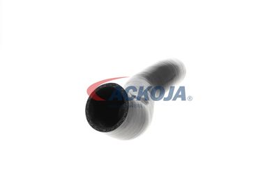 FURTUN EAR SUPRAALIMENTARE ACKOJA A389605 25