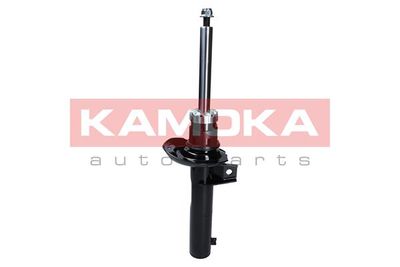 Shock Absorber 2000446