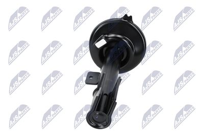 AMORTIZOR NTY ACT018 17