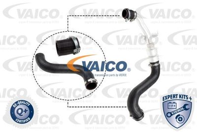 Трубка нагнетаемого воздуха VAICO V48-0197 для LAND ROVER RANGE ROVER