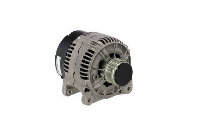 GENERATOR / ALTERNATOR REMANTE 011003000482R 48