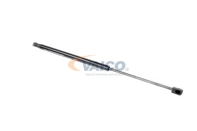 AMORTIZOR PORTBAGAJ VAICO V101969 17