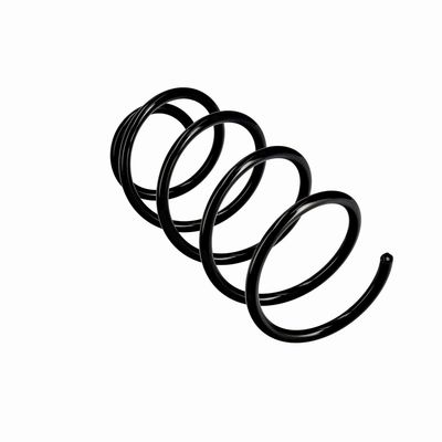 ARC SPIRAL EIBACH R10404 11