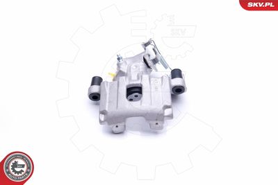 Brake Caliper 45SKV163