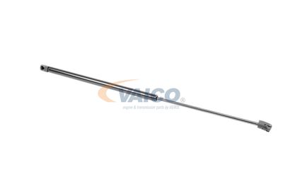 AMORTIZOR PORTBAGAJ VAICO V250555 17