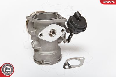 EGR Valve 14SKV080