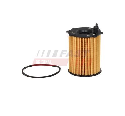 Olejový filtr FAST FT38075