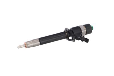 INJECTOR REMANTE 002003000196R 9