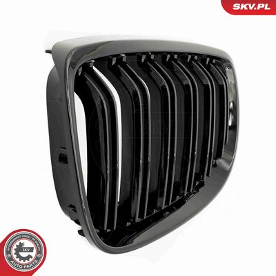 GRILA RADIATOR ESEN SKV 66SKV107 5