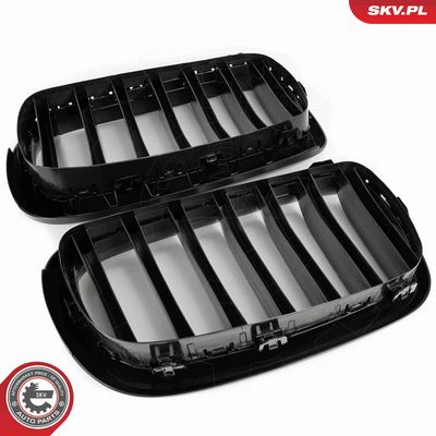 GRILA RADIATOR ESEN SKV 66SKV294 5