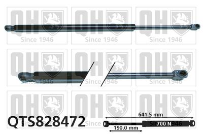 Газовая пружина, крышка багажник QUINTON HAZELL QTS828472 для RENAULT ESPACE