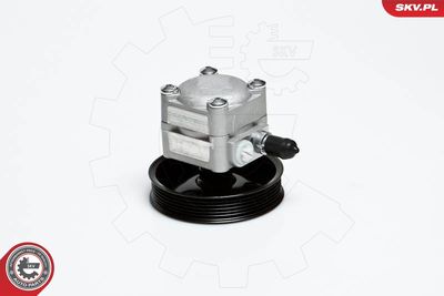 Hydraulic Pump, steering 10SKV027