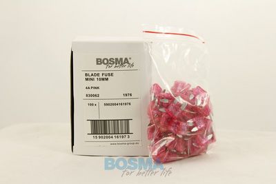 Kaitse BOSMA 1976