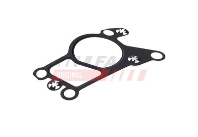 GARNITURA VENTIL AGR FAST FT50623 5