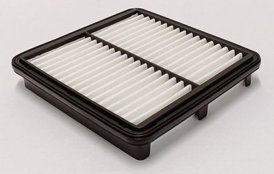 LUFTFILTER CHAMPION CAF101217P 1